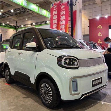 FY Electric Pickup Truck