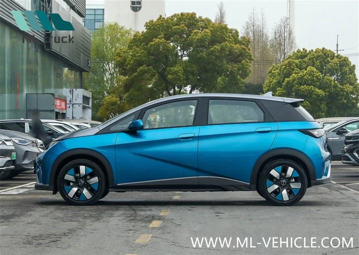 BYD Dolphin EV
