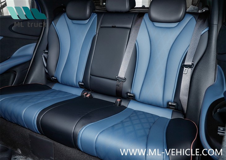 BYD Dolphin EV