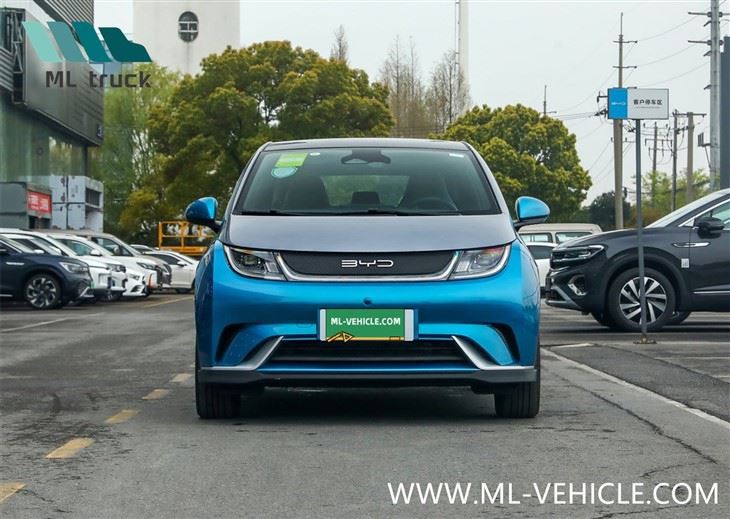 BYD Dolphin EV