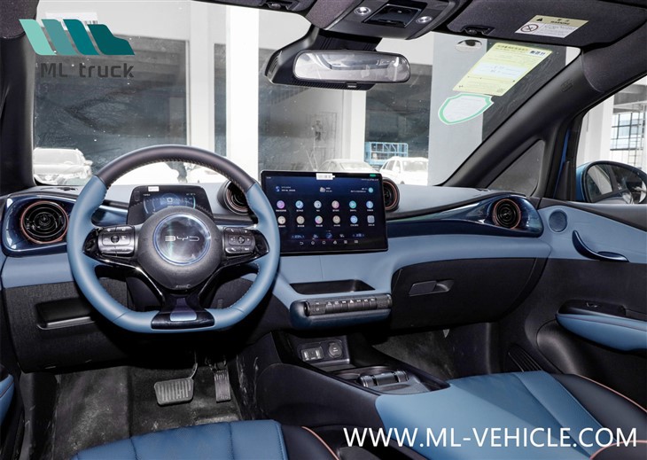 BYD Dolphin EV