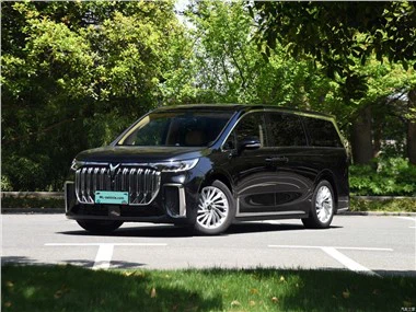 2023 New VOYAH Dreamer PHEV (Hybrid)