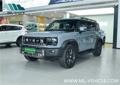 CHERY Jetour Traveler