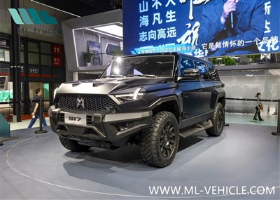 DongFeng MengShi M-Hero 917