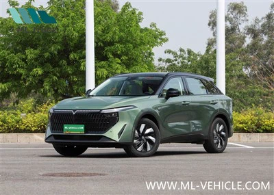 DongFeng NISSAN Venucia V DD-i