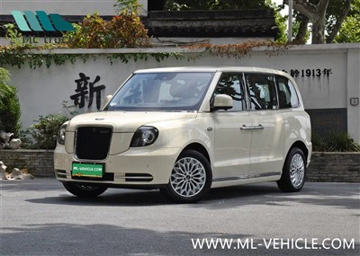 GEELY LEVC TXS