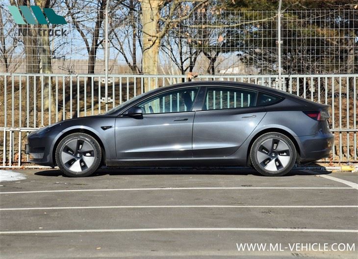 China Customized Tesla Model 3 Wholesale Tesla Model 3 Made in China