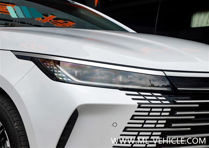 2024 BYD Destroyer 05 DMi Honor Edition