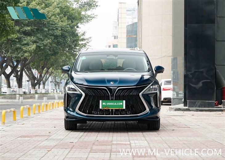 2024 DongFeng Forthing 1.5T DCT Yacht MPV