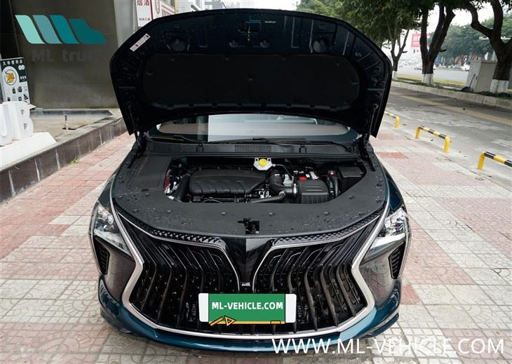 2024 DongFeng Forthing 1.5T DCT Yacht MPV