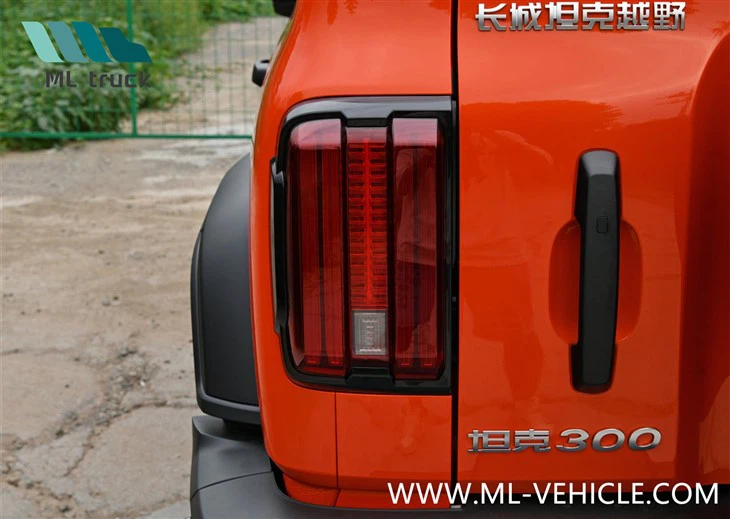 2024 GMW Tank 300 Hi4-T