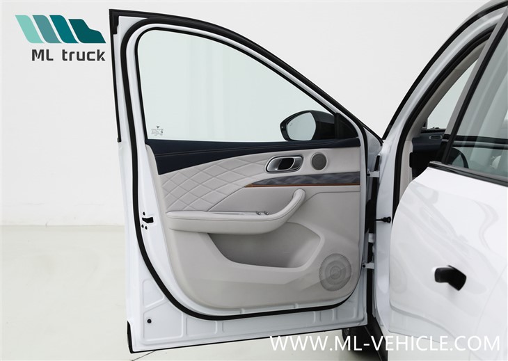 2024 NETA L Reev SUV