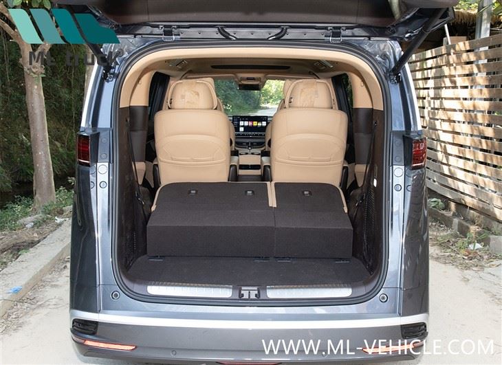 2025 BYD Denza D9 EV MPV