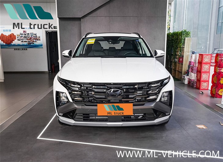2025 Hyundai Tucson L SUV
