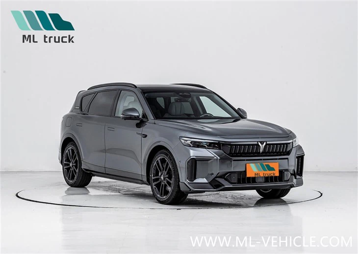 2025 New VOYAH Free 318 PHEV SUV