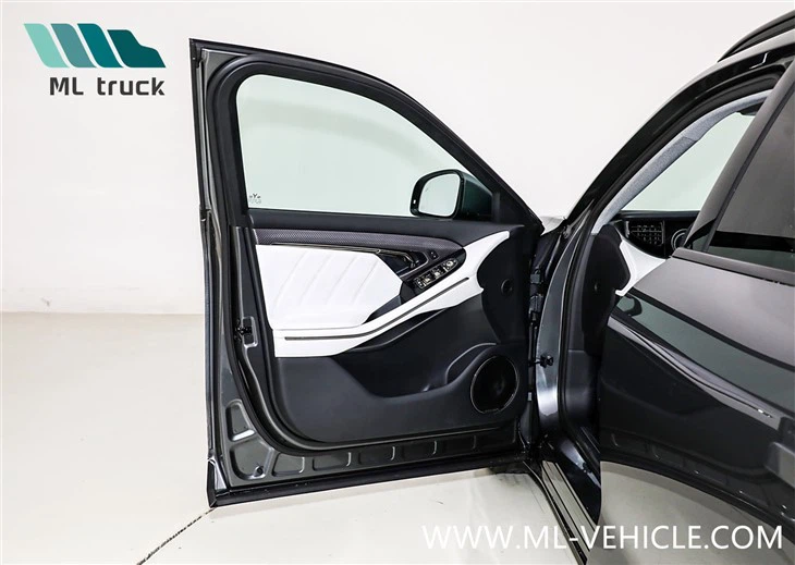 2025 New VOYAH Free 318 PHEV SUV