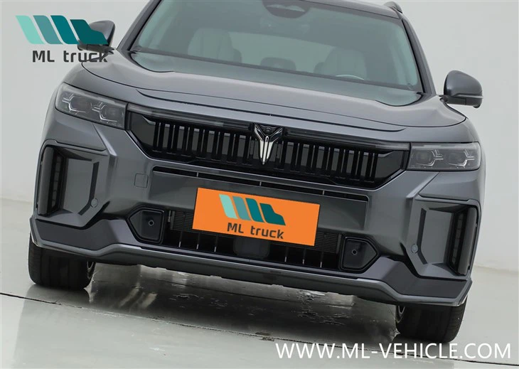 2025 New VOYAH Free 318 PHEV SUV