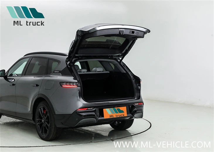 2025 New VOYAH Free 318 PHEV SUV