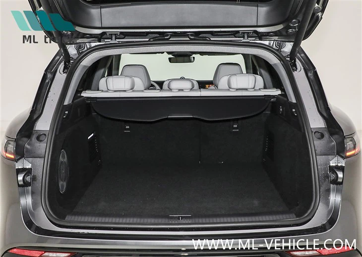 2025 New VOYAH Free 318 PHEV SUV