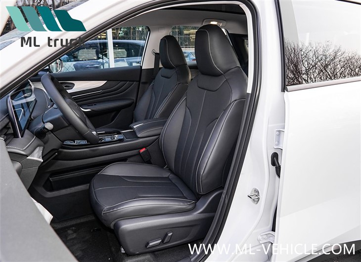 2025 DongFeng Nissan Venucia V DD-i