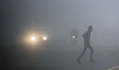 How should headlights be used in foggy weather?