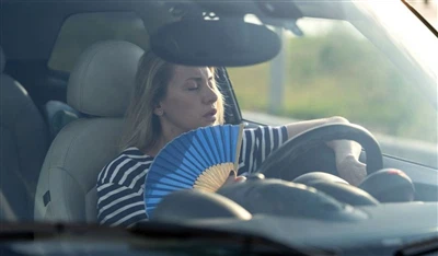 How Hot Can a Car Interior Get Under the Summer Sun?