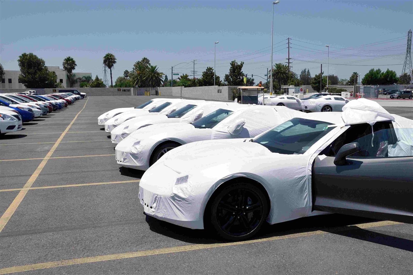 imgtrcarwrapguard imgtrcarwrapguard