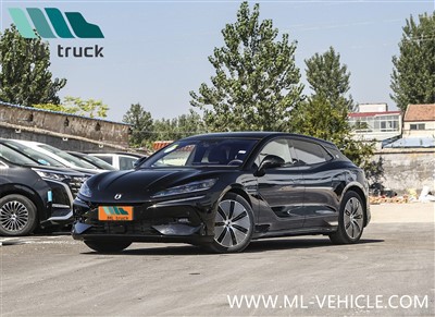 2024 BYD Denza Z9 GT