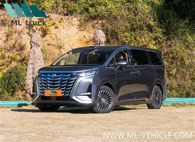 2025 BYD Denza D9 EV MPV