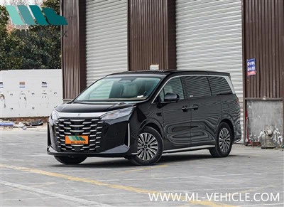 2025 BYD Xia MPV DMi