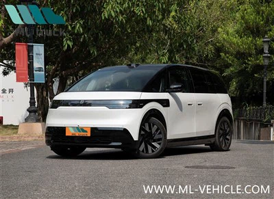 2025 Zeekr MIX EV MPV